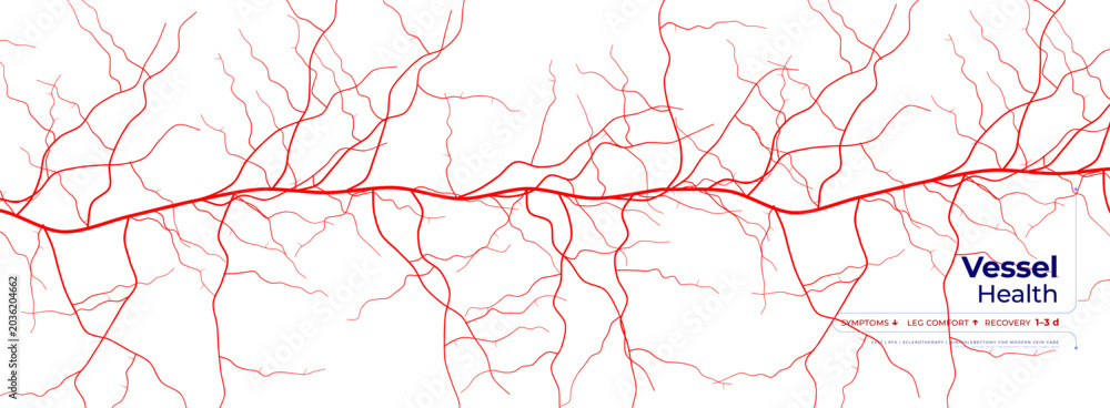 Photography Red Veins Mesh Cell Vascular Network Pattern on White Background for Hematology Science Innovation Tech Research, Circulatory Medical Brochure BG