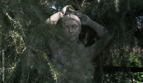 Photography The Stone Nimph