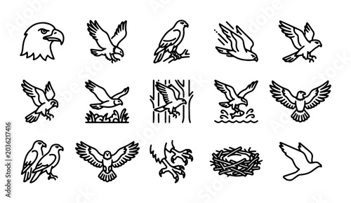 Foto Eagle Icons Vector Set: Majestic Birds of Prey, Wildlife Graphics, Nature Elemen
