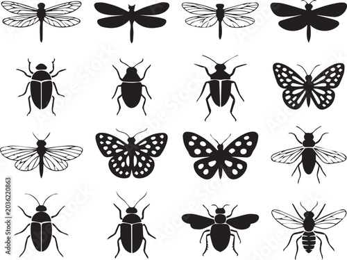 Black insect and bug illustrations set with different species Vector
