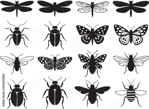Black and white insect and bug illustrations collection Vector