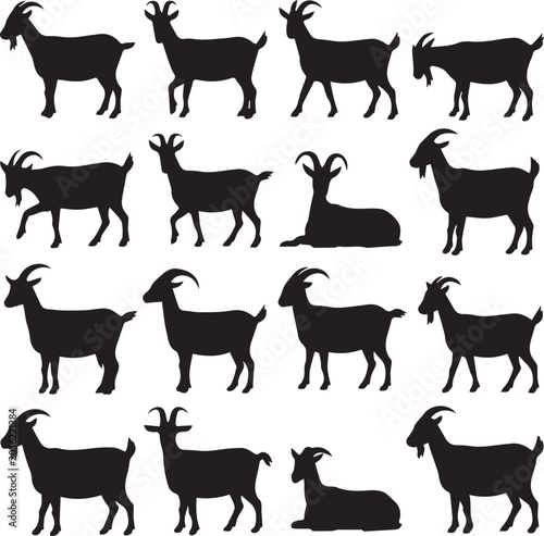 Black goat standing and sitting in different poses Vector