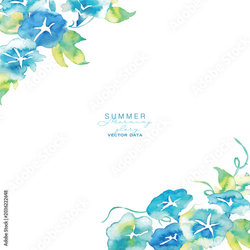 水彩画。水彩タッチの朝顔ベクターイラスト。夏の朝顔の背景素材。和風背景。暑中見舞い。