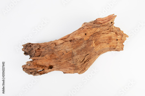 Foto Tree bark piece, Bark of tree,old wooden isolated on white, top view