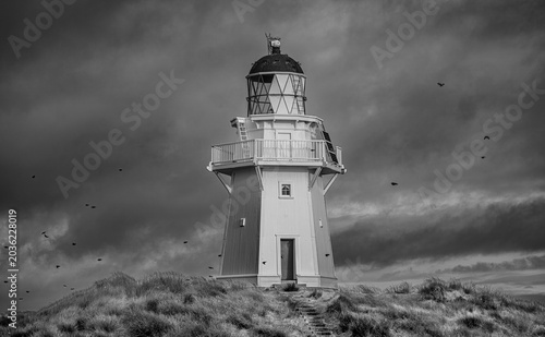 Lighthouse on coastal path under dramatic storm clouds - White coastal lighthouse viewed from a narrow path through windswept vegetation, with dark storm clouds creating a dramatic seascape atmosphere