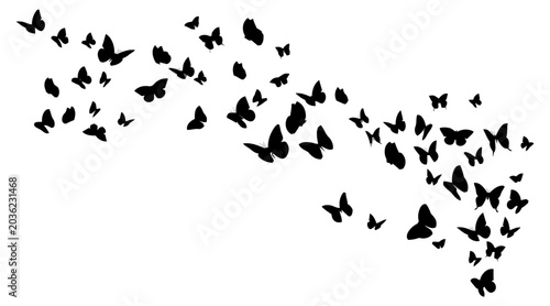 Swarm of black butterflies flying, artistic insect silhouette design