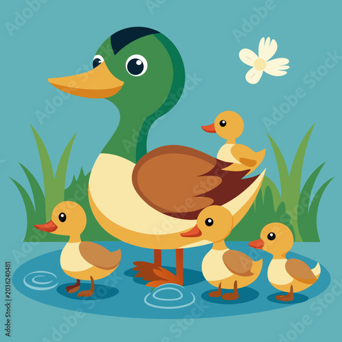 Vector illustration of Mallard duck and baby ducklings.vector

