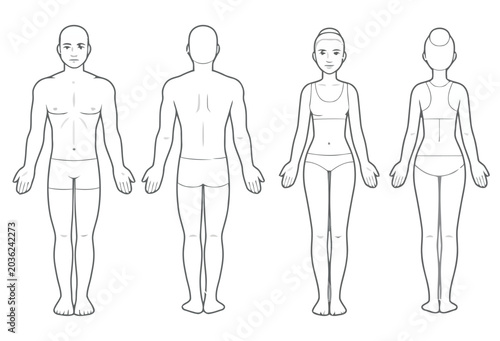 Male and Female Anatomy Line Art Figures in Front and Back View