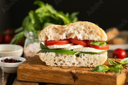 Panini sandwich with mozzarella cheese, basil and tomato. Italian style fresh vegetable sandwich