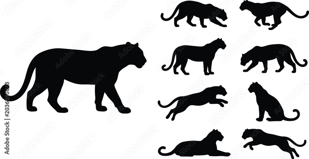 Fototapeta premium Panther Silhouette Vector Collection Design With Wildlife Animal Poses