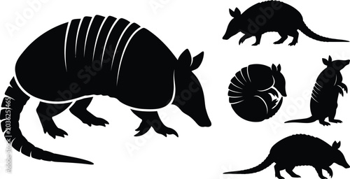 Armadillo Silhouette Vector Collection Design With Wildlife Animal Poses