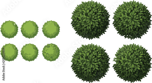 Collection of green shrub and topiary bush top view vector illustration set for landscape design