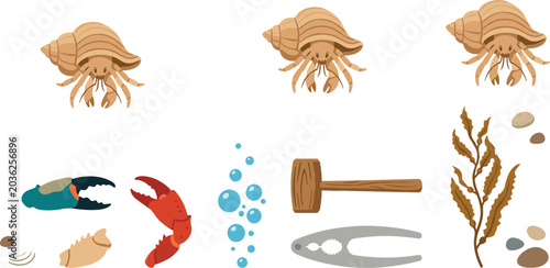 Tableau sur toile Collection of hermit crab and seafood vector illustrations featuring marine crus