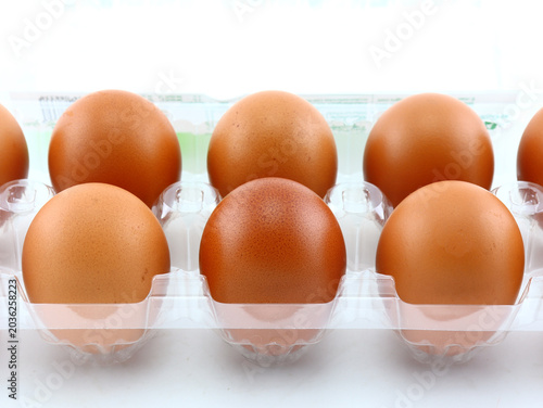 Chicken eggs in PET plastic tray on white background.