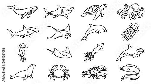 Photography Minimalist sea life line icons, set of 16 ocean animal vector illustrations, bla