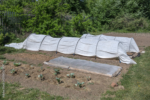 A fragment of vegetable garden beds on a spring day