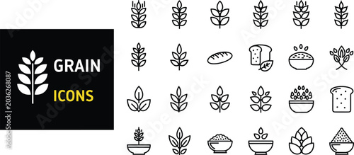 Cuadro en lienzo Grain Line Icons Set for Wheat Bread Cereal Organic Food Agriculture Farming Vec