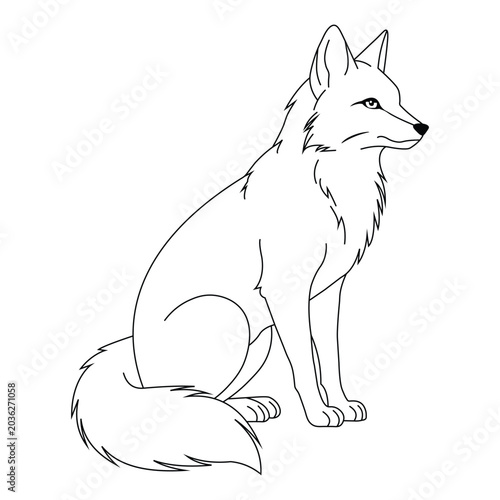 Foto Outline of a Seated Fox: A clean, minimalist line drawing of a fox sitting attentively, with its tail curled around its paws and a keen expression