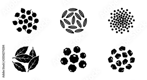 Bild auf Leinwand Minimalist spice icons, black herb silhouettes, 6 culinary vector elements