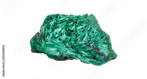 Konstfotografi Natural malachite stone with distinctive green copper ore patterns displaying ge