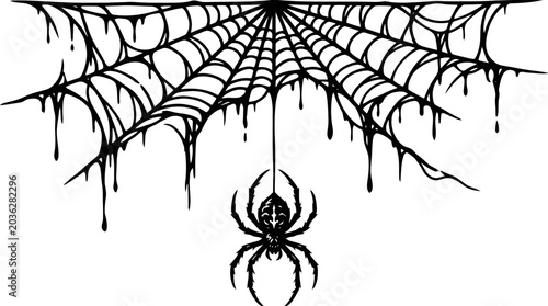 Fényképezés spider hanging from a large dripping wet cobweb on white background