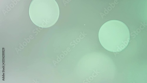 Abstract green bokeh background with soft glowing circles