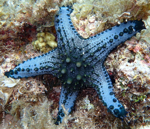 Philippines