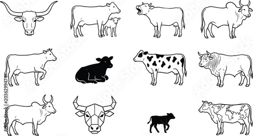 Photography Cow and Cattle Line Art Icon Set Featuring Texas Longhorn Bull Dairy Heifer Calf