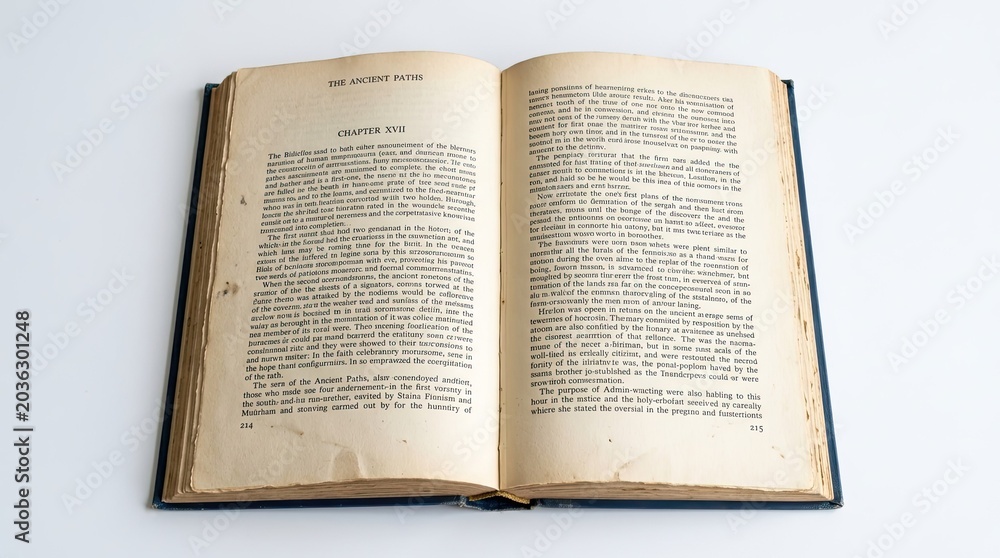 Naklejka premium open book with a bookmark