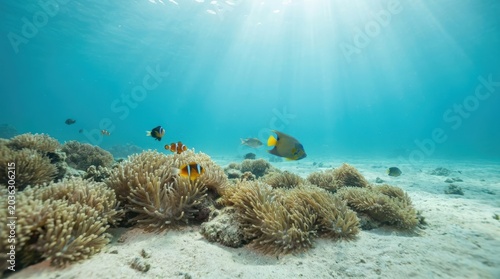 Vibrant Coral Reef Ecosystem-(Ekosistem Terumbu Karang yang Semarak)