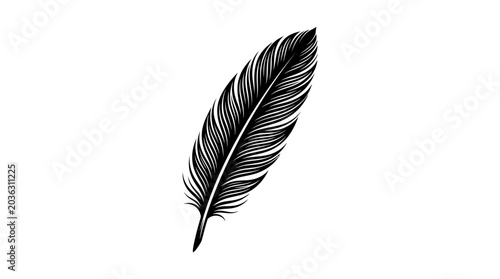 Elegant black feather illustration isolated on white background