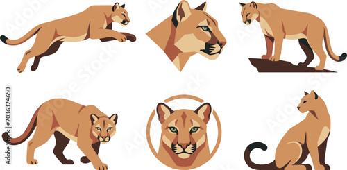 Photography Mountain Lion and Cougar Wildlife Vector Set Featuring Puma Poses, Predator Port