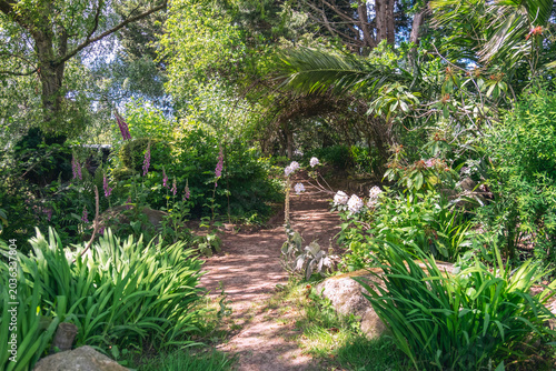 summer walk pass in Jersey park