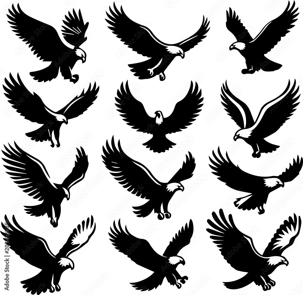 Fototapeta premium Majestic Eagle Flying Silhouette Symbolizing Freedom, Success, Strength, and Vision