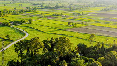 Obraz na plátně Aerial Sunset Over Rice Fields in Thepharak Korat