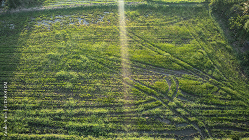 Фотография Aerial Sunset Over Rice Fields in Thepharak Korat
