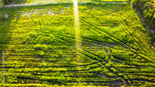 Photography Aerial Sunset Over Rice Fields in Thepharak Korat