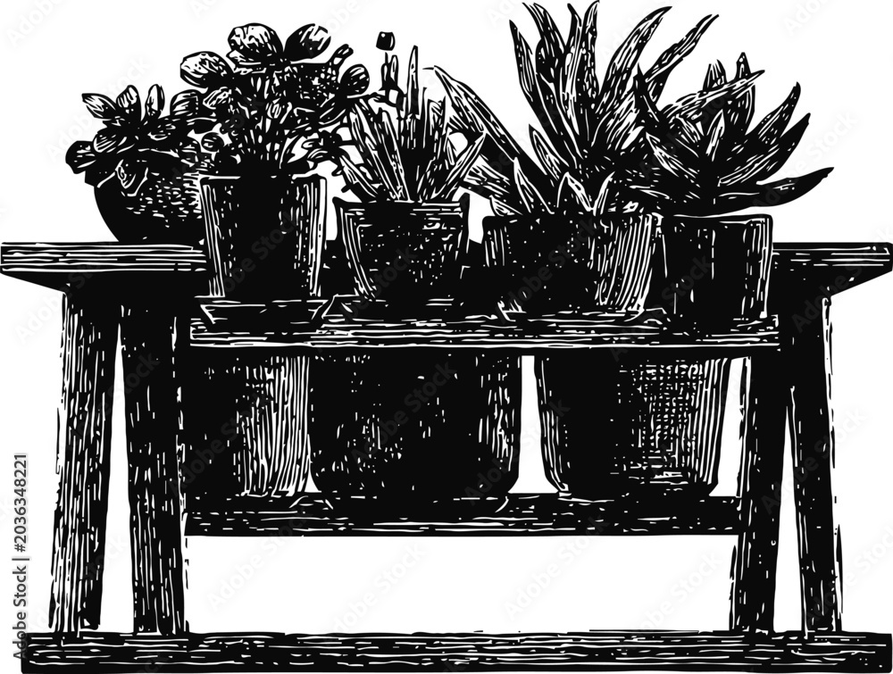 Fototapeta premium wooden plant stand with potted houseplants indoor garden arrangement sketch
