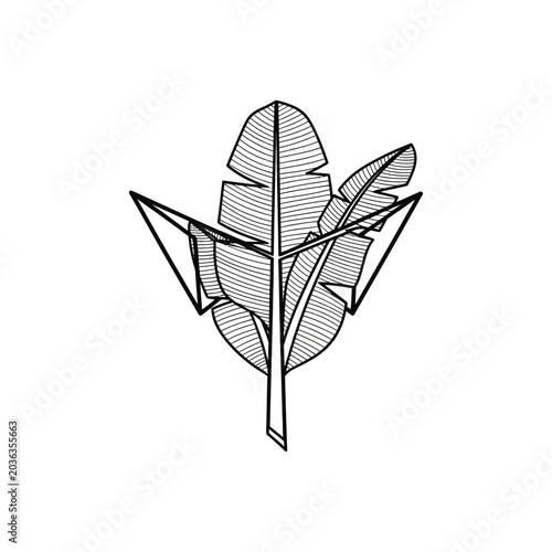 Minimalist Tropical Banana Leaf Line Art Illustration with Geometric Accents