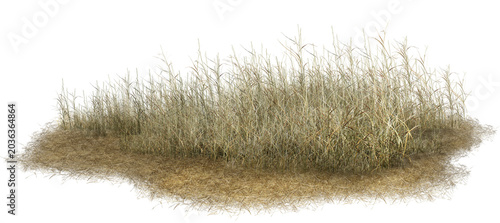 Foto hedgehog in grass/High-resolution sharp texture of a dry grass clump isolated on a white background, perfect for architectural rendering foreground and landscape design
