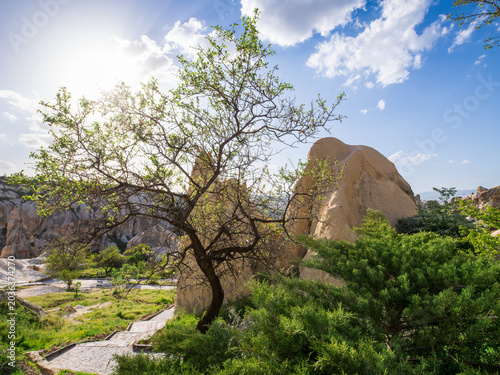 Scenic spring landscape in Göreme, Cappadocia, Türkiye, with green trees, volcanic tuff rock formations and fairy chimneys under a bright blue sky with clouds and sunlight.
