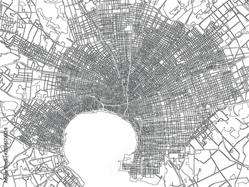 Los Angeles USA City Map Vector Roads Urban Monochrome Line Art Cartography Minimal Aerial View District Infrastructure Transportation Scheme Streets