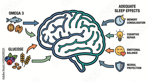 Brain Health and Cognitive Function Nutrition, Sleep, and Protection