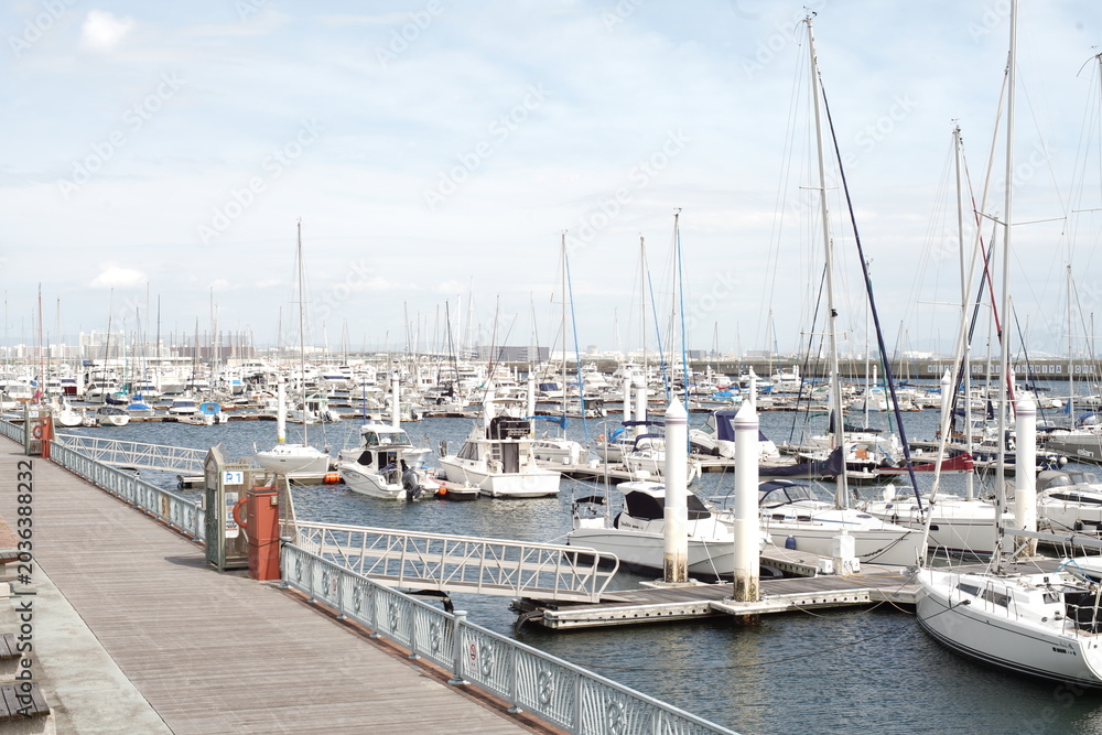 Fototapeta premium Scenic view of numerous yachts and cruisers moored at a marina with a wooden broadwalk under a blue sky.