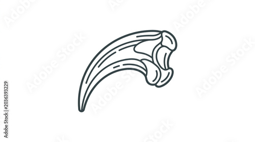 Vászonkép Detailed Illustration of a Bird Claw Bone Structure.