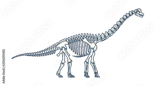 Tableau sur toile Detailed illustration of a dinosaur skeleton standing on a white background