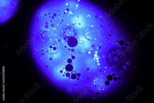 Принти на полотні photomicrograph of a dysentery