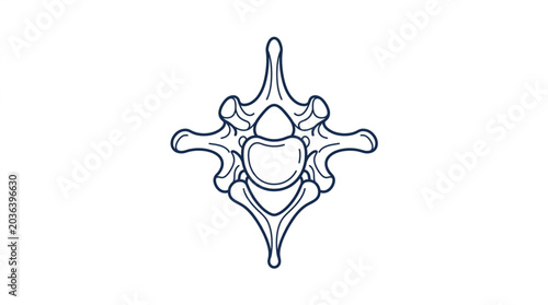 Bilde på lerret Illustration of a single human cervical vertebra bone.