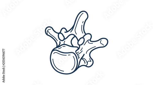 Bilde på lerret Illustration of a single human lumbar vertebra bone structure.