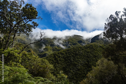 Mountain view on the hiking trail in Madeira, Portugal